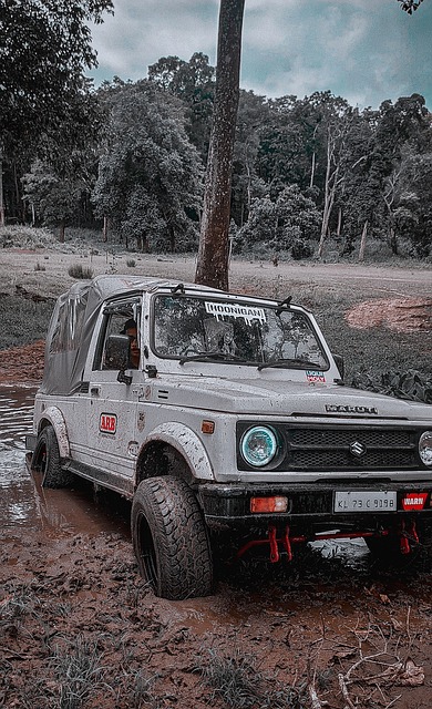 的關鍵之一 的關鍵之一