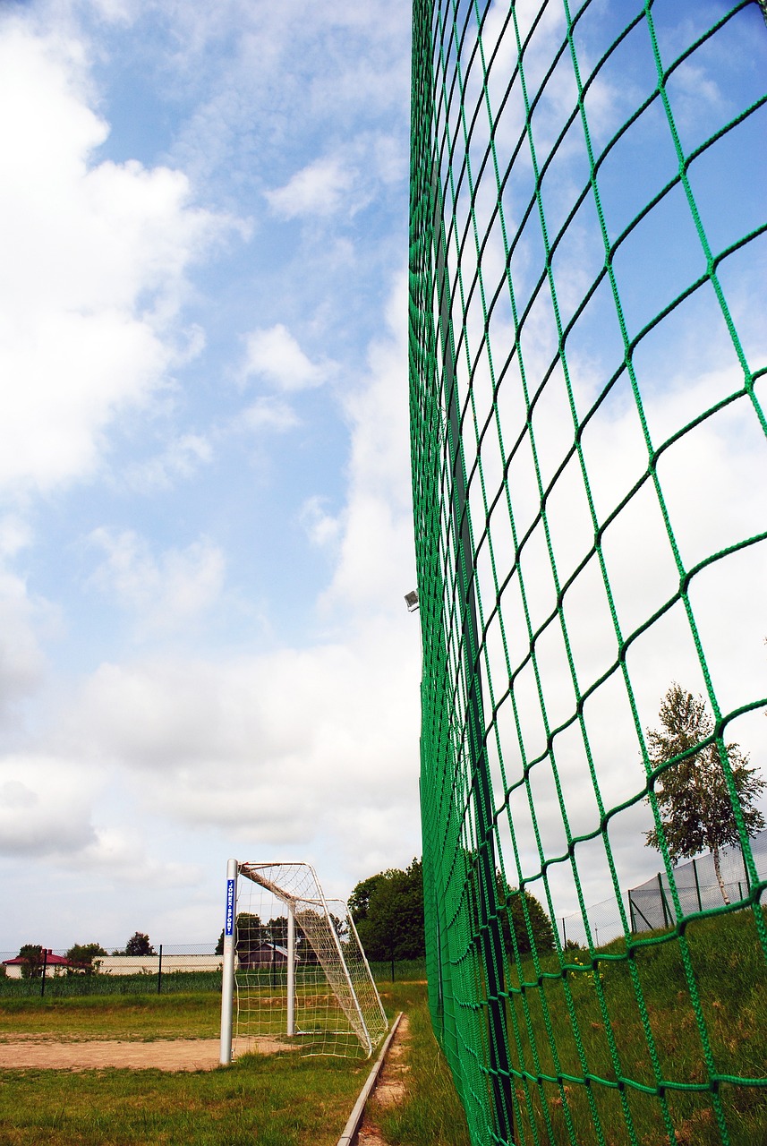 贡献两双数 贡献两双数