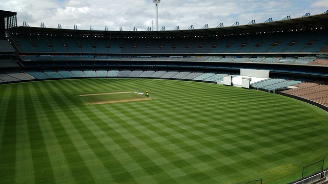 这不仅提高 这不仅提高