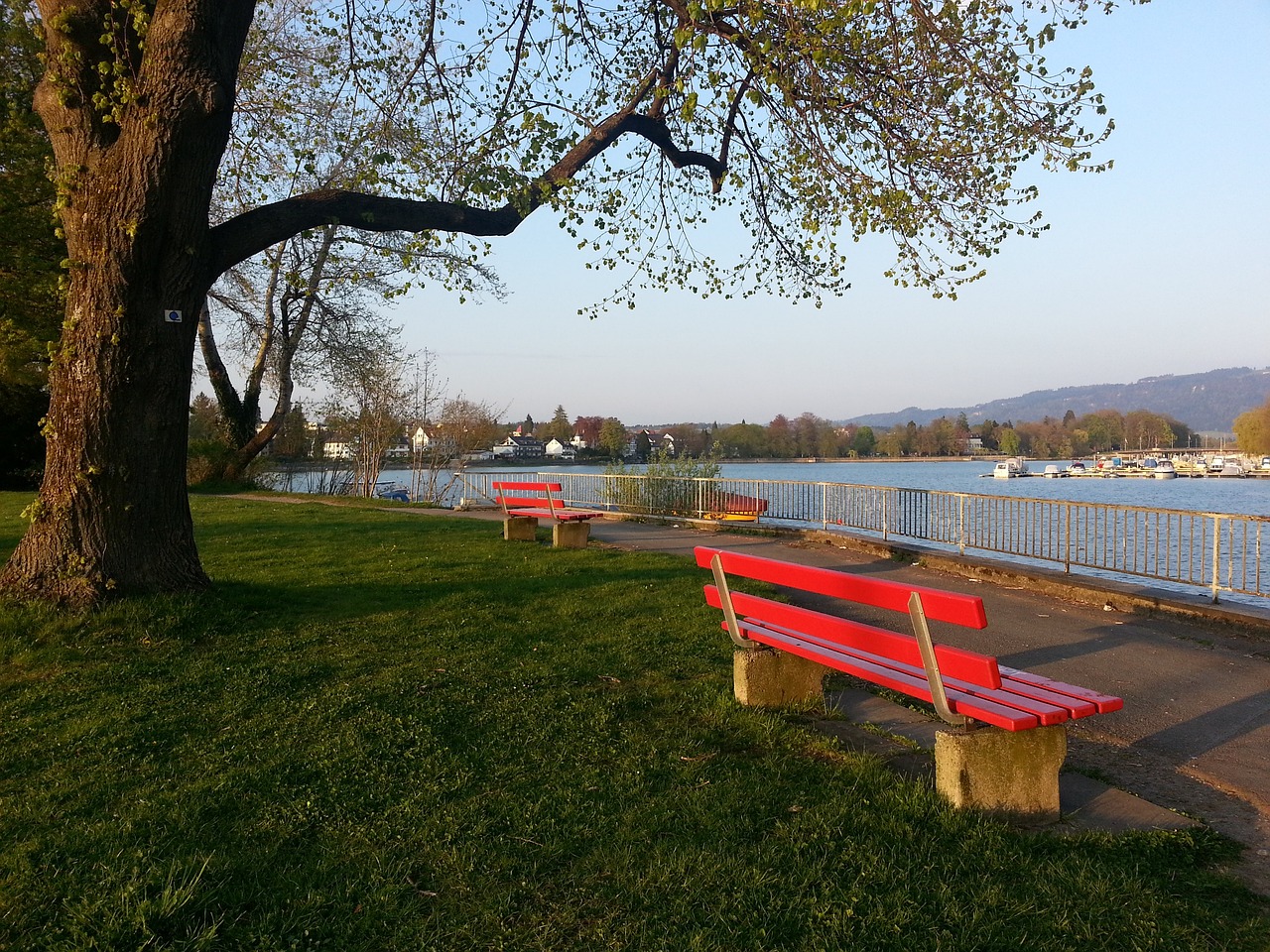 了多项技术 了多项技术