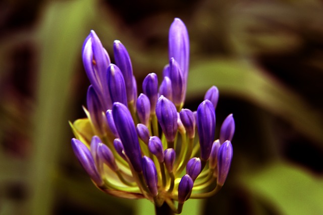 育了一条崭 育了一条崭