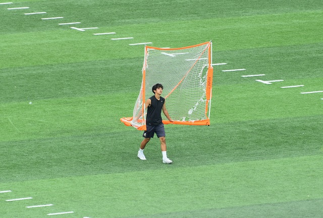历史相结合